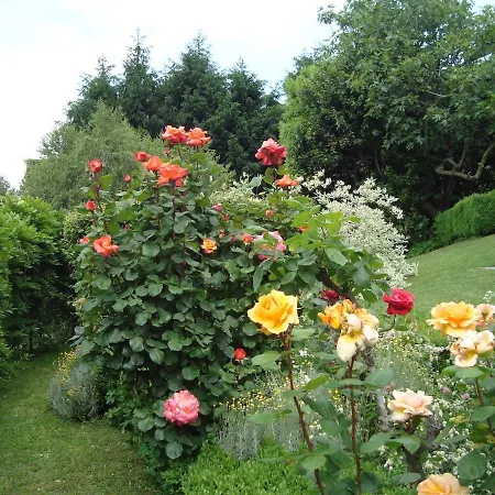 Beautiful New With Private Entrance And Parking 5 Min Walking From Center Bellano