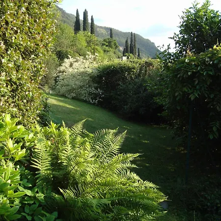 Lejlighed Beautiful New With Private Entrance And Parking 5 Min Walking From Center